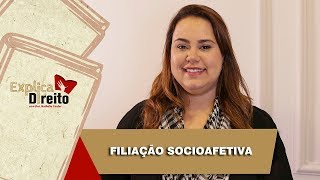 Explica Direito Filiação Socioafetiva  2019 [upl. by Kliber]