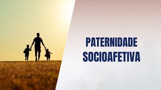 Paternidade socioafetiva [upl. by Cr]