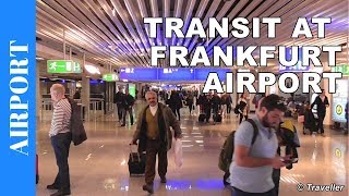 TRANSIT WALK AT FRANKFURT Airport FRA Terminal 1  Connection Flight Transfer Arriving amp Departing [upl. by Annoeik]